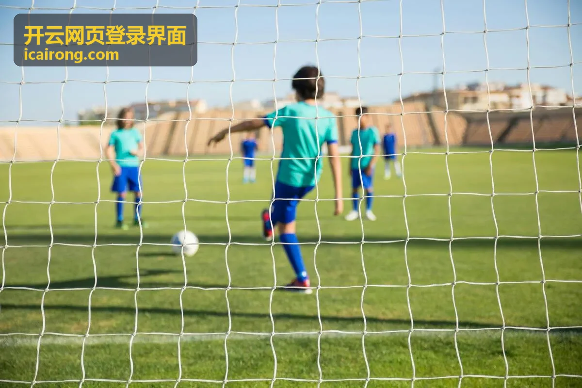 开云网页登录界面 登录首页品牌标识与操作按钮视觉面积说明