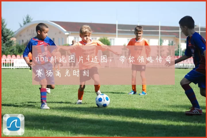 nba科比图片4连图，带你领略传奇赛场高光时刻