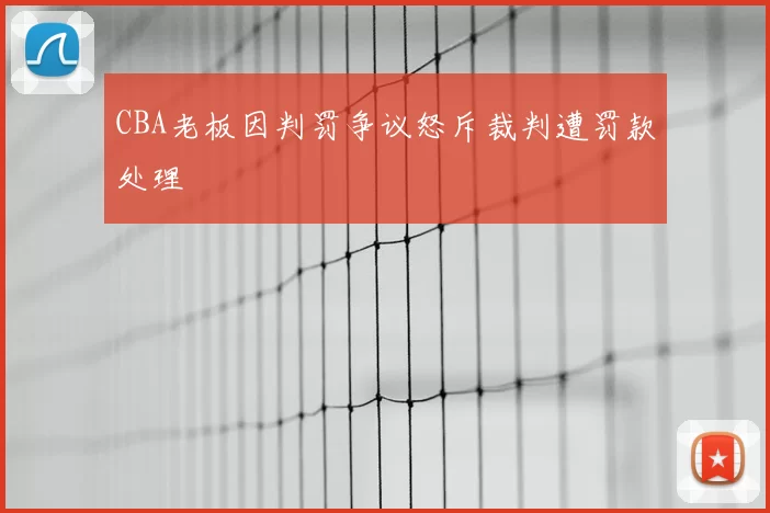 CBA老板因判罚争议怒斥裁判遭罚款处理
