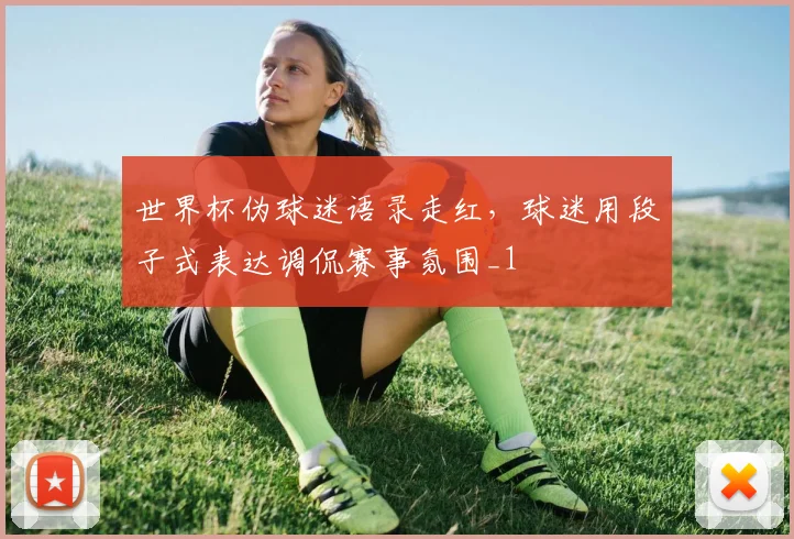 世界杯伪球迷语录走红，球迷用段子式表达调侃赛事氛围_1