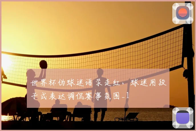 世界杯伪球迷语录走红，球迷用段子式表达调侃赛事氛围_1