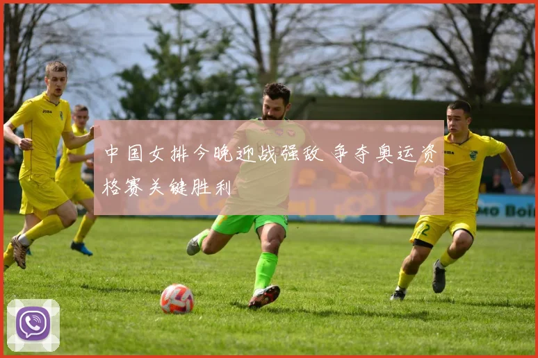 中国女排今晚迎战强敌 争夺奥运资格赛关键胜利